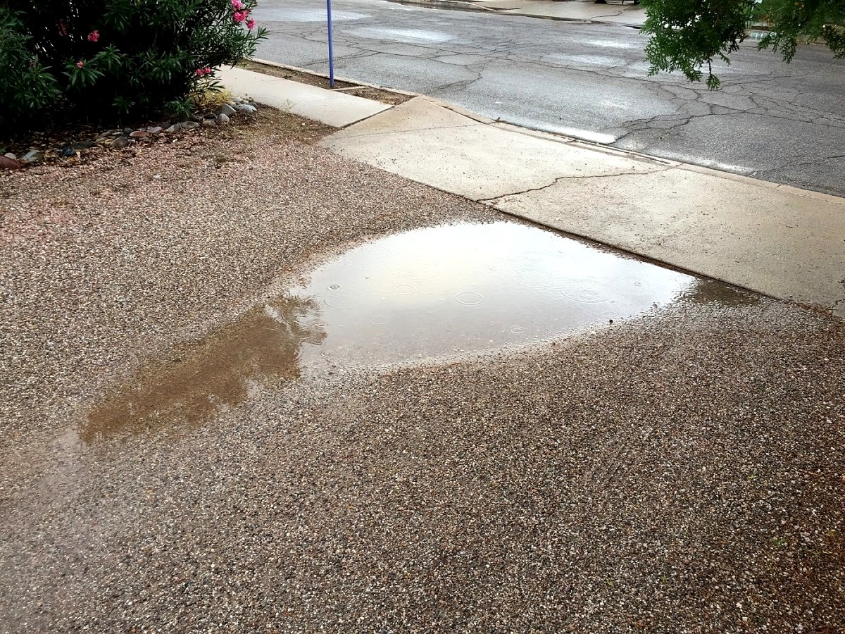 Standing water on a traditional driveway after rainfall highlighting poor drainage compared with EcoGrid permeable paving