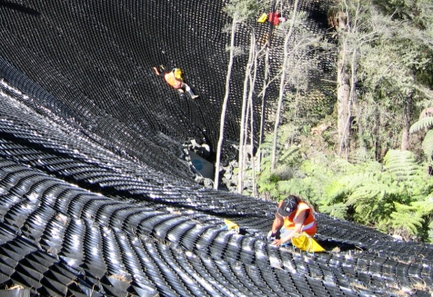 Introducing… EcoGrid Web Cell for Tree Root Protection | EcoGrid Ltd